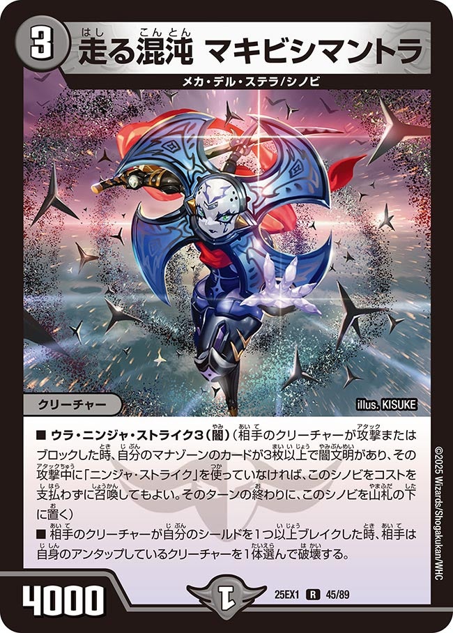 走る混沌 マキビシマントラ(45/89)