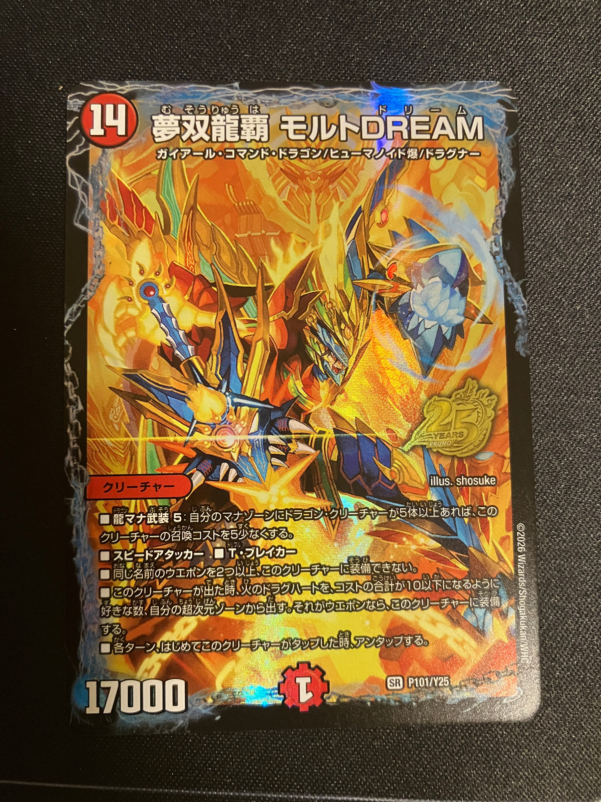 夢双龍覇 モルトDREAM（P101/Y25）
