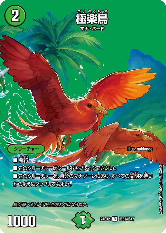極楽鳥（超31/超47）
