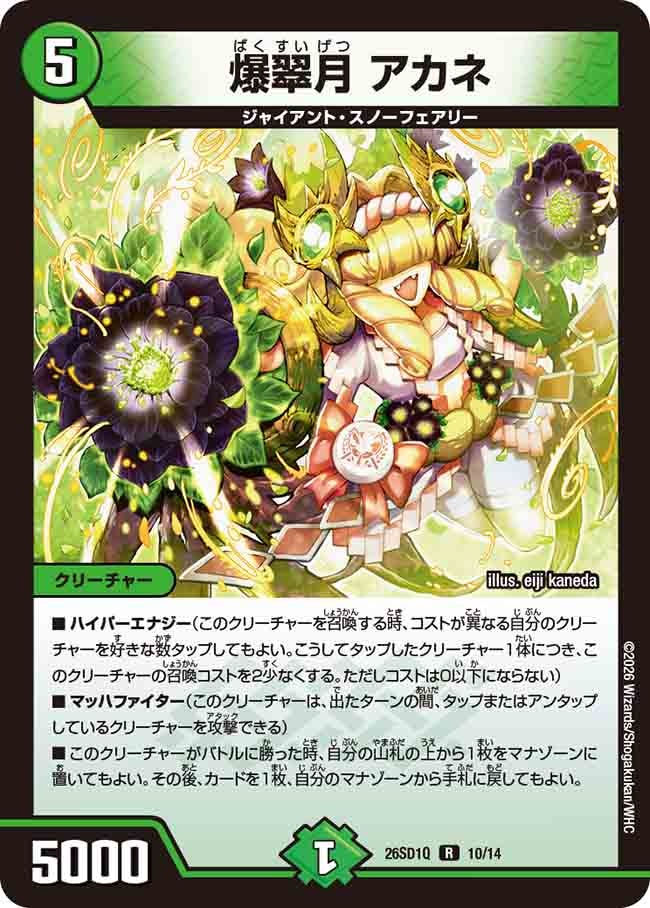爆翠月 アカネ（Q9/13）