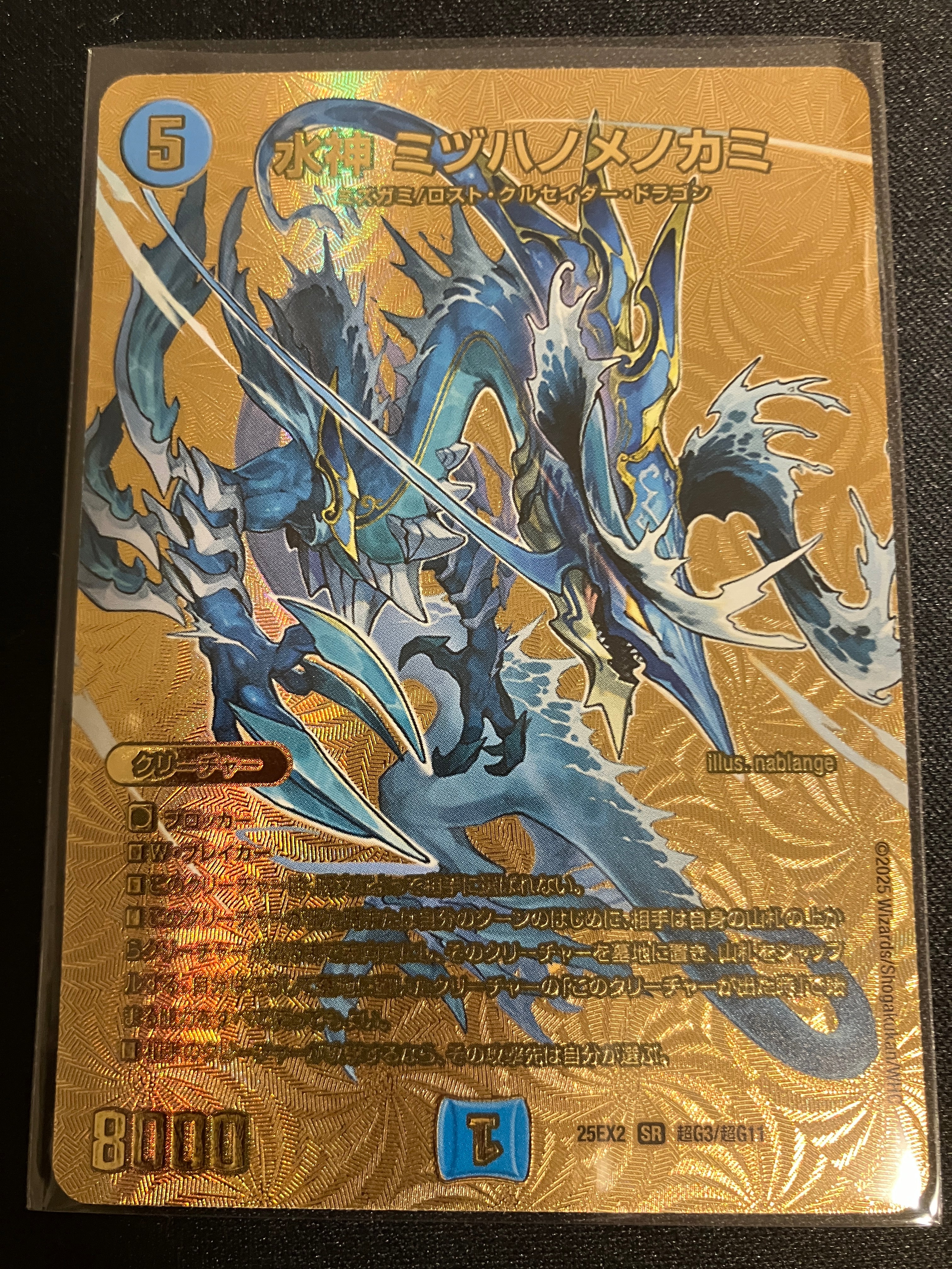 DM25-EX2 王道vs邪道 デュエキングWDreaM 2025 – DM VOLTA